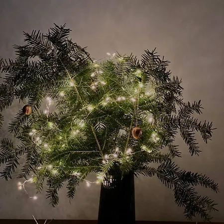 Apartmán Hudozhnyk *